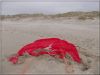 Nom du fichier : stella_plage_19_mars_2017_13.JPG
Poids du fichier : 152KB
Dimensions : 1024x768
Ajouté le : 19 Mar 2017 stella_plage_19_mars_2017_13.JPG