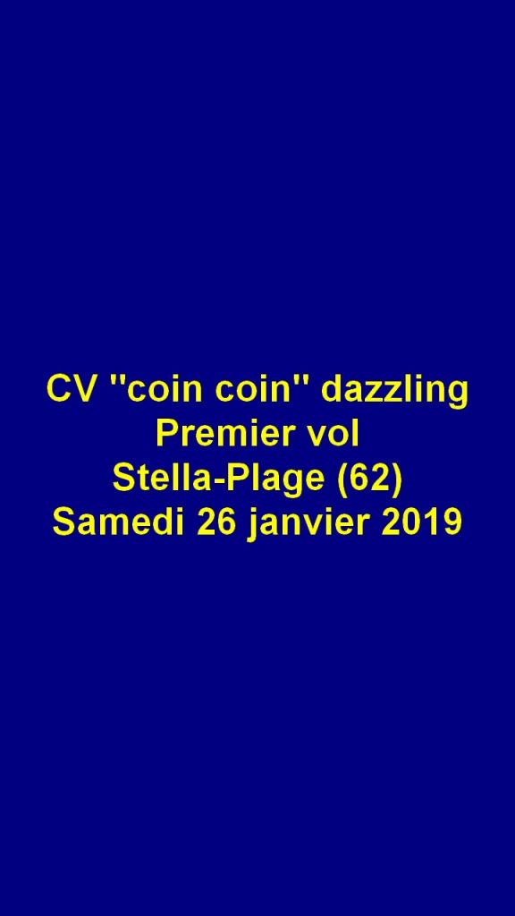 Cliquez pour voir l'image en taille réelle