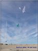 Nom du fichier : 2_plumes_penhors_25_juin_2018_2.JPG
Poids du fichier : 73KB
Dimensions : 600x800
Ajouté le : 25 Juin 2018 2_plumes_penhors_25_juin_2018_2.JPG