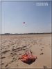 Ancre_à_sable_+_Rokkaku_-_Hemmes_-_2_septembre_2018.jpg