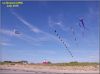 Nom du fichier : Bora_7_+_queues_tubulaires_-_Le_Dossen_-_juin_2016.jpg
Poids du fichier : 230KB
Dimensions : 1067x800
Ajouté le : 22 Juin 2016 Bora_7_+_queues_tubulaires_-_Le_Dossen_-_juin_2016.jpg