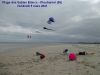 CV_+_bestioles_-_Les_Sables_Blancs_-_Vendredi_5_mars_2021.jpg