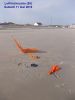 Nom du fichier : CV_canard_leffrinckoucke_samedi_11_mai_2019_001.JPG
Poids du fichier : 107KB
Dimensions : 600x800
Ajouté le : 13 Mai 2019 CV_canard_leffrinckoucke_samedi_11_mai_2019_001.JPG
