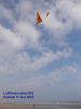 CV_canard_leffrinckoucke_samedi_11_mai_2019_002.JPG