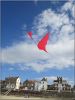 CV_coin_coin_rouge_-_Pléneuf_Val_André_-_avril_2016.jpg