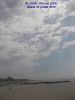 CV_plume_blanche_-_Ru_Veïn_-_Plovan_-_Mardi_23_juillet_2019_001.JPG