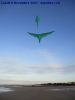 CV_plume_verte_-_2_-_Asnelles_-_Lundi_8_novembre_2021.jpg