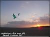 CV_plume_verte_-_Hemmes_-_1_-_octobre_2017.jpg