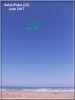 CV_plume_verte_1_-_Saint-Pabu_-_Juin_2017.jpg