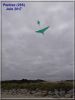 CV_plume_verte_2_-_Pentrez_-_Juin_2017.jpg