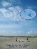 Canard_-_Plage_de_Goulien_-_15_juin_2013.jpg