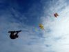 Dimanche_10_novembre_2024_-_Image055.jpg
