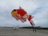 Dimanche_2_juillet_2023_-_0007.jpg