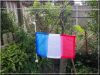 Nom du fichier : Fanion_BBR.jpg
Poids du fichier : 135KB
Dimensions : 799x600
Ajouté le : 31 Juil 2017 Fanion_BBR.jpg