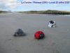 La_Torche_-_Lundi_20_juillet_2020_-_001.jpg