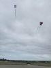 Mercredi_25_juin_2025_-_Image_206.jpg