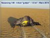 Nasawing_140_-_tribal_guêpe_-_1_5_m²_-_Mars_2014.jpg
