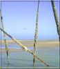 Nasawing_8_5_-_feu_de_Walde.jpg