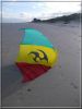 Nasawing_Rasta_Tribal.jpg