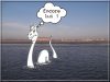 Nom du fichier : Nessy.jpg
Poids du fichier : 115KB
Dimensions : 800x600
Ajouté le : 17 Mar 2014 Nessy.jpg