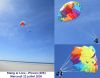 Panda_volant_-_Stang_ar_Liou_-_Mercredi_2_juillet_2020.jpg