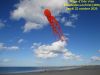 Pieuvre_-_Plage_d_Ode_Vras_-_Jeudi_22_octobre_2020.jpg