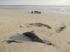 Nom du fichier : Plovan_Dimanche_14_juillet_2016_010.JPG
Poids du fichier : 114KB
Dimensions : 800x600
Ajouté le : 14 Juil 2019 Plovan_Dimanche_14_juillet_2016_010.JPG