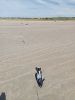 Samedi_29_juin_2024_-_131.jpg