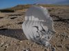 Nom du fichier : mane_guen_7_mars_2018_13.JPG
Poids du fichier : 170KB
Dimensions : 800x600
Ajouté le : 07 Mar 2018 mane_guen_7_mars_2018_13.JPG